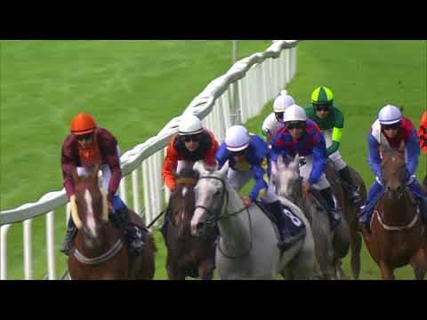 CH, 6. 9. 2020, 6. dostih - 61. J&T BANKA ZLATÝ POHÁR