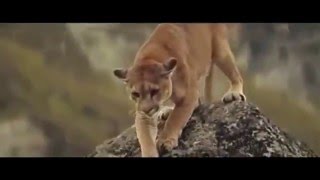 KHYMERA - Never Give Up on You