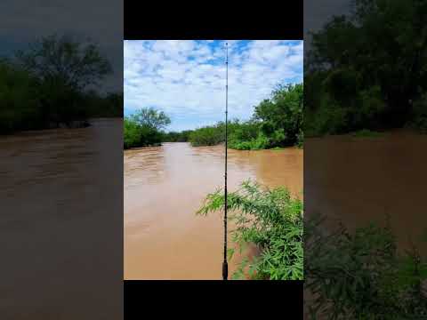 SUSCRIBITE A MI CANAL- Río Teuquito en el  pueblo de Rivadavia Banda Sur.