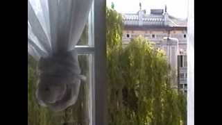 J.S. BACH, Adagio from Sonata No.3. The Swingle Singers.