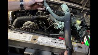 How to Replace Lower Radiator Hose on Ford Ranger & Mazda B3000 3.0L V6 (1998–2008)