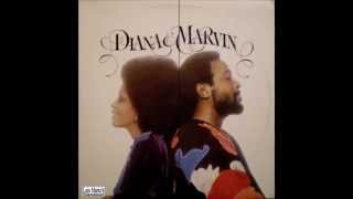 Legends of Vinyl Presents Diana Ross & Marvin Gaye - Don't Knock My Love 1973.wmv