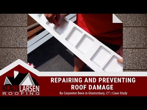 Repairing and Preventing Roof Damage by Carpenter Bees in Glastonbury, CT | Case Study