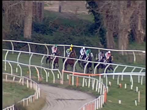 Galoppo 02/01/2020 - 5ª corsa