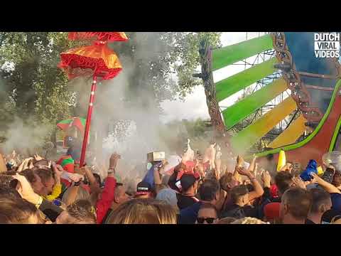 Disabled boy has the time of his life at Mysteryland