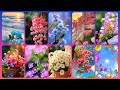 Flowers Wallpaper Collection, Beautiful Dpz And Whatsapp Profile Photos @Nature Beautiful Wallpapers