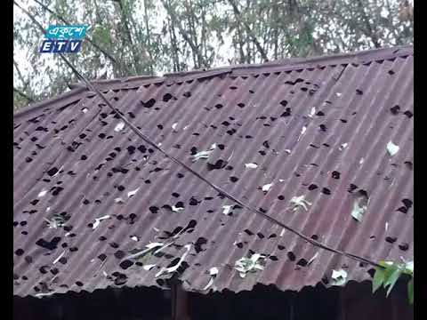 কালবৈশাখী ঝড়ে ব্যাপক ক্ষয়ক্ষতি, নিহত ৭