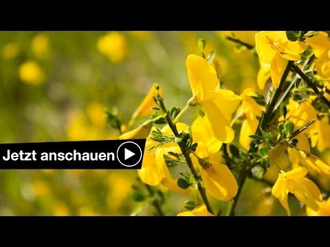 SCHARFE FOTOS MACHEN - 4 TIPPS