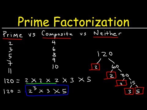 Prime Factorization Explained!