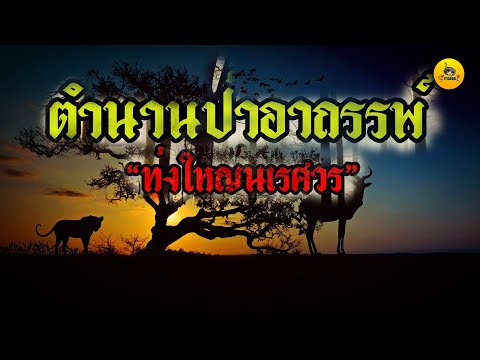 สมาชิกที่เล็กที่สุดของดารา เพื่อวางค้อน