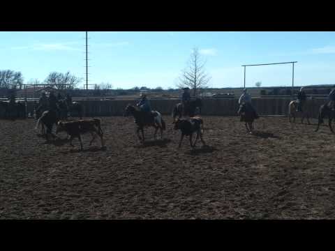 Last day of "Colt starting clinic" at Chris Cox Ranch Texas 2014    (1)