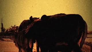 Cover art for Red Sex