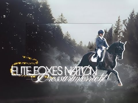 UNTERRICHT | 26.08.2018 | Elite Foxes Nation