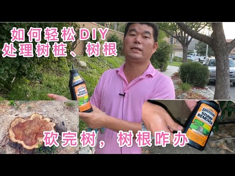 樹根腐爛