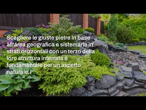 Giardino roccioso: fai da te, procedimento, piante da mettere