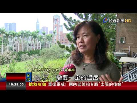 哺乳類越來越矮 美研究：與暖化氣溫有關