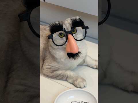 Sonya is a little liar 🎭