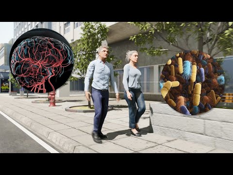 1 in 3 seniors die from Alzheimer's or another dementia! Ai-Ling Lin's project