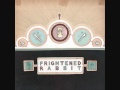 Frightened Rabbit - Skip the youth