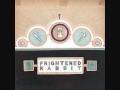 Frightened Rabbit - Skip the youth 