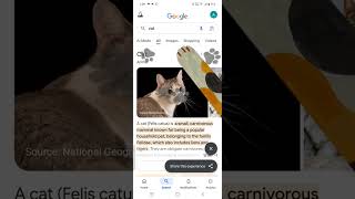 #googlecat