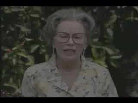 Mad TV - John McCain Campaign Ad Part 2 .mpeg