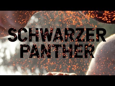 Trailer-Vorschau: Schwarzer Panther