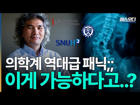세계 최초 척수 재생 성공