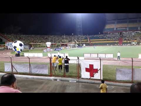 El leopardo es un carnaval, bucaramanga vs depor fc, marzo 02, FORTALEZA LEOPARDA SUR 2015