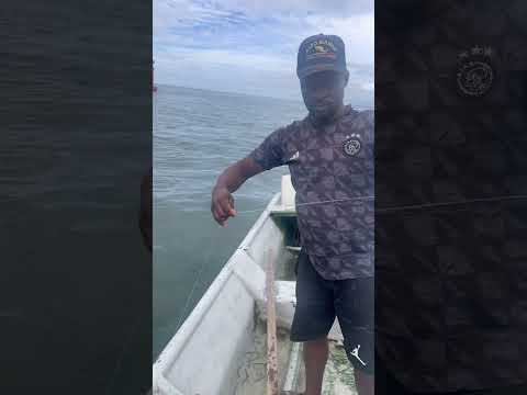 😱😱 pesca, pesada, con carnada viva 💪🏿🐟🐙🦐