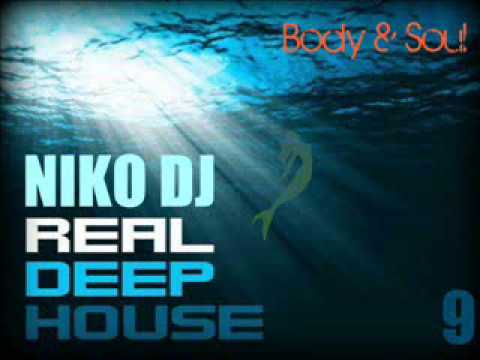 Niko Dj - Shake It