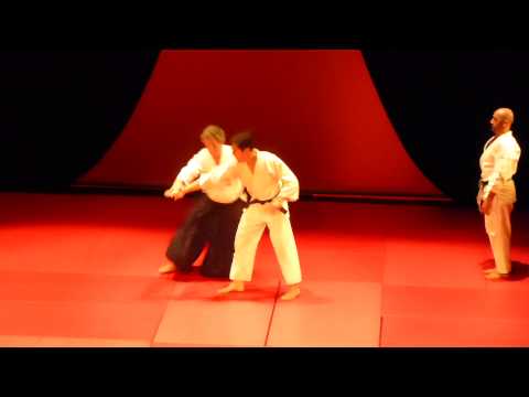 NAMT 2014 - Aïkido avec Jacques Muguruza