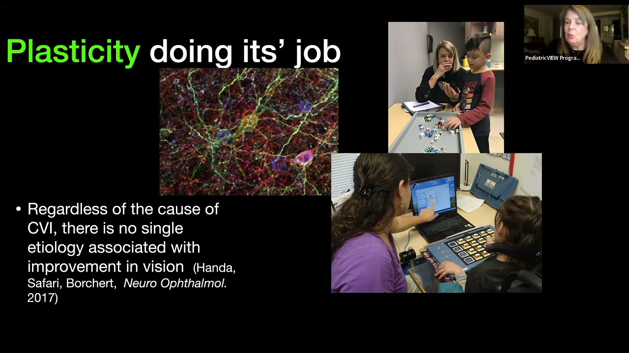 The CVI Range Approach Explained | Dr. Christine Roman-Lantzy | PCVIS