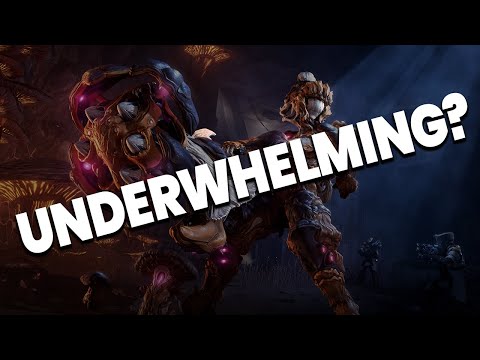 This Has Warframe Players (SOME not all) Losing It