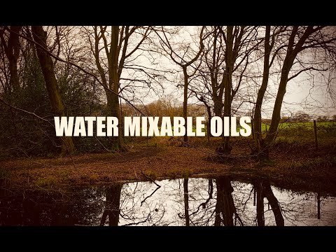 Plein Air Painting - Water Mixable Oils