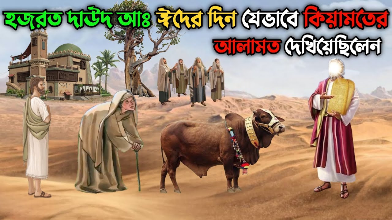 দাউদ আঃ ঈদের দিন যেভাবে কিয়ামতের আলামত দেখিয়েছিলেন || বৃদ্ধ মা ও ছেলের ঘটনা || Hazrat Dawood AS
