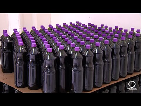 Equipamentos do fundo perdido ajudam vinícola de Mariópolis na produção de suco de uva