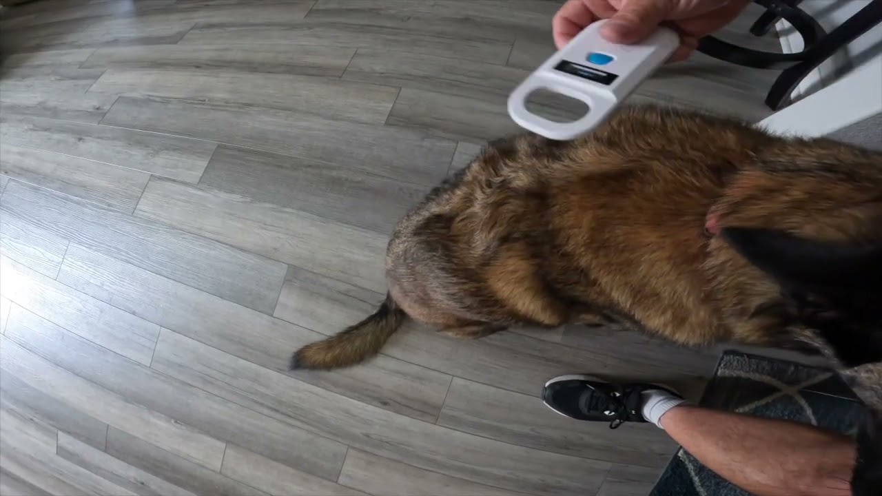 Product Review - NetumScan Pet Microchip Scanner Reader, RFID EMID Handheld Pet Chip ID Scanner