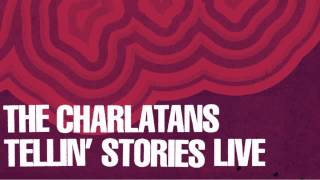 14 The Charlatans - Forever (Live) [Concert Live Ltd]