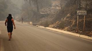 Algeria battles nearly 2,000 wildfires in July amid extreme heat crisis