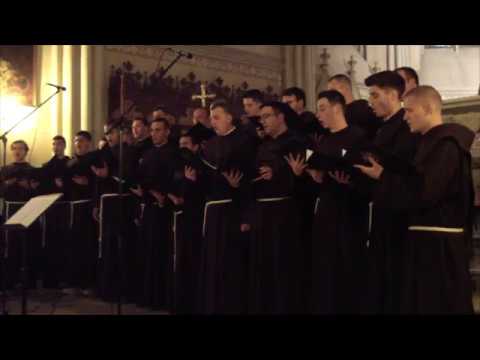 Obećana Djevica - Franjevački Juniori