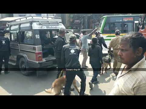 TRAINING WITH DOG #NAGRAKATA #DOOARS