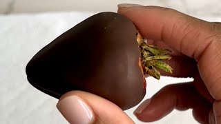 How To Refrigerate Chocolate Covered Strawberries Overnight! #youtube #tutorial #how #howto #viral
