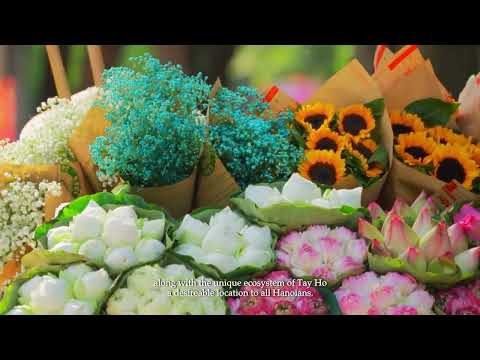 Video dự án 1