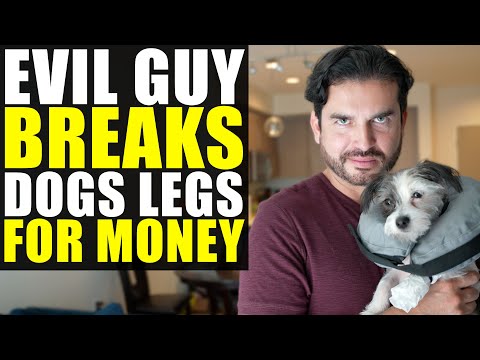Guy BREAKS DOGS LEGS!!!! Creates FAKE GoFundMe Scam!!!!