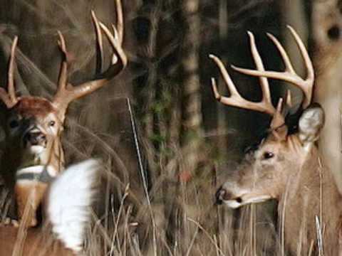 Let All Things Now Living