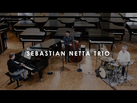 Es führt über den Main | Sebastian Netta Trio (feat. Sebastian Altekamp, Ingo Senst)