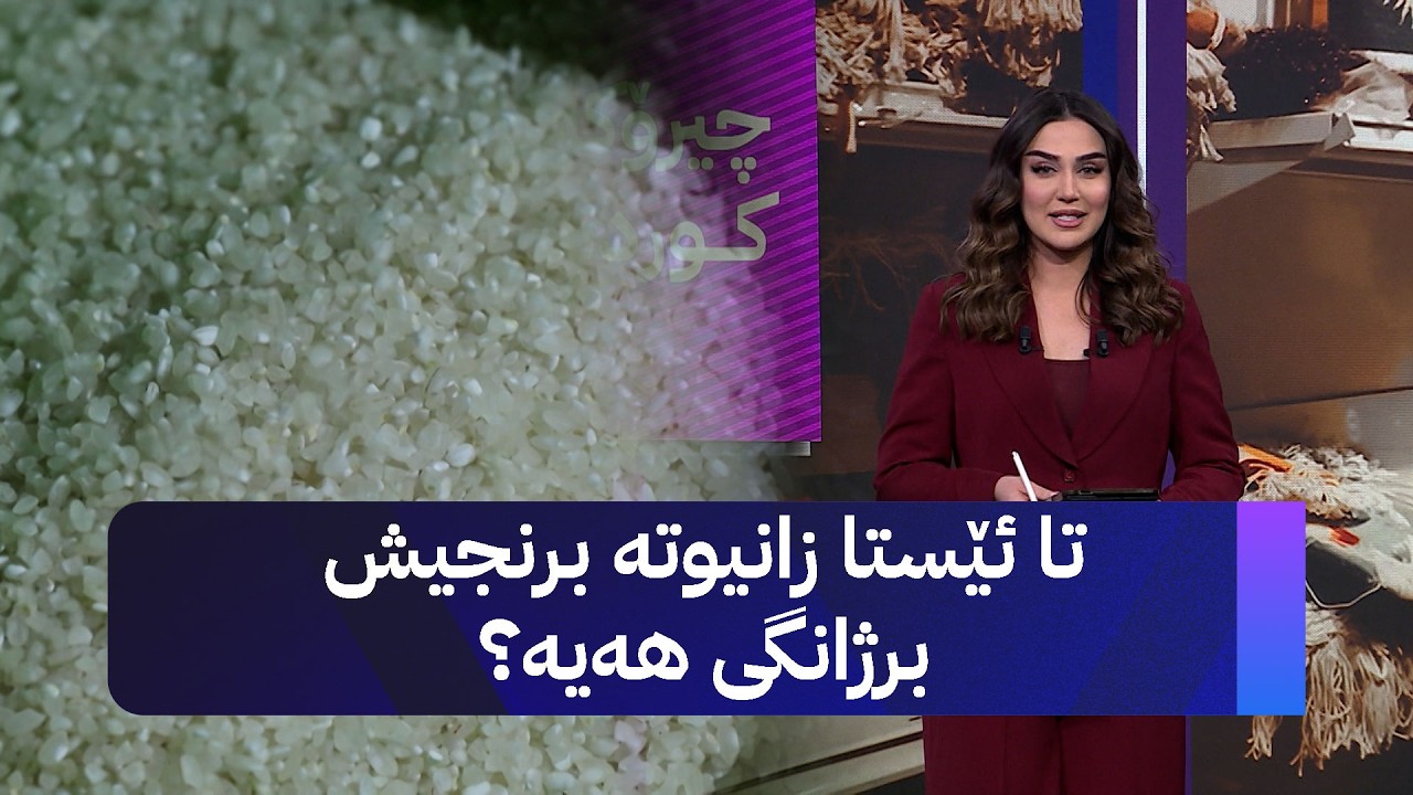 ڤیدیۆ | تا ئێستا زانیوتە برنجیش برژانگی هەیە؟