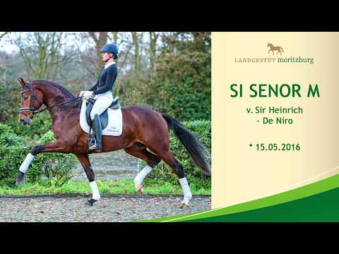 SI SENOR M v. Sir Heinrich - De Niro