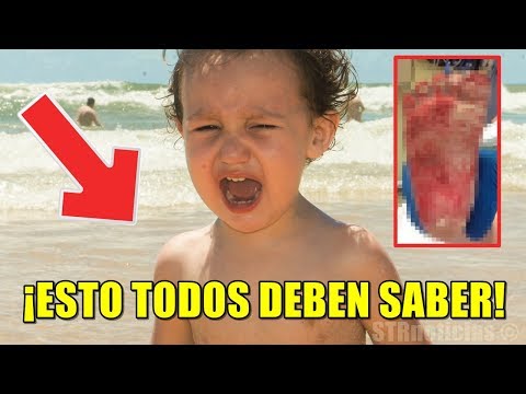 Niño casi pierde sus pies en la playa, ahora su madre advierte sobre el peligro oculto en la arena. Video